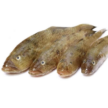 Deshi Baila Fish